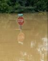 Kentucky Mailchimp 20220729T1040-KENTUCKY-HISTORIC-FLOODING-1732984_preview.jpg